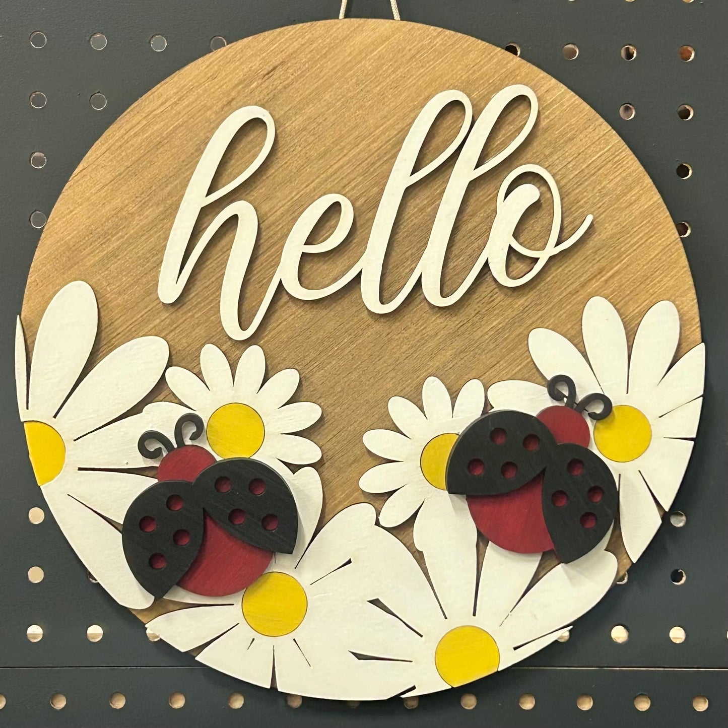 0131 - DIY craft kit, Daisies & ladybugs, Wood Sign