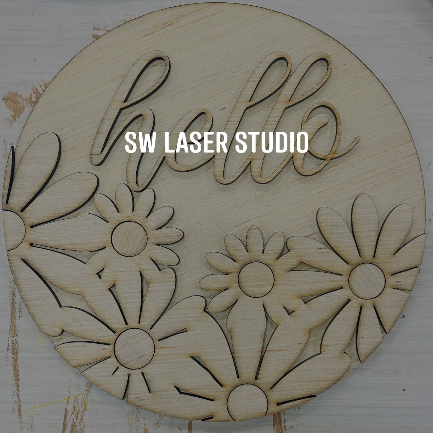 0131 - DIY craft kit, Daisies & ladybugs, Wood Sign
